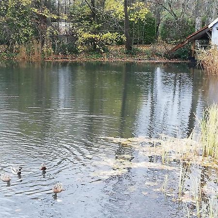 La Cabane Sur L'Eau Cul-des-Sarts Dış mekan fotoğraf