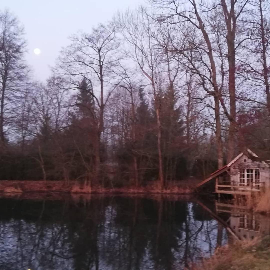 La Cabane Sur L'Eau Cul-des-Sarts Dış mekan fotoğraf