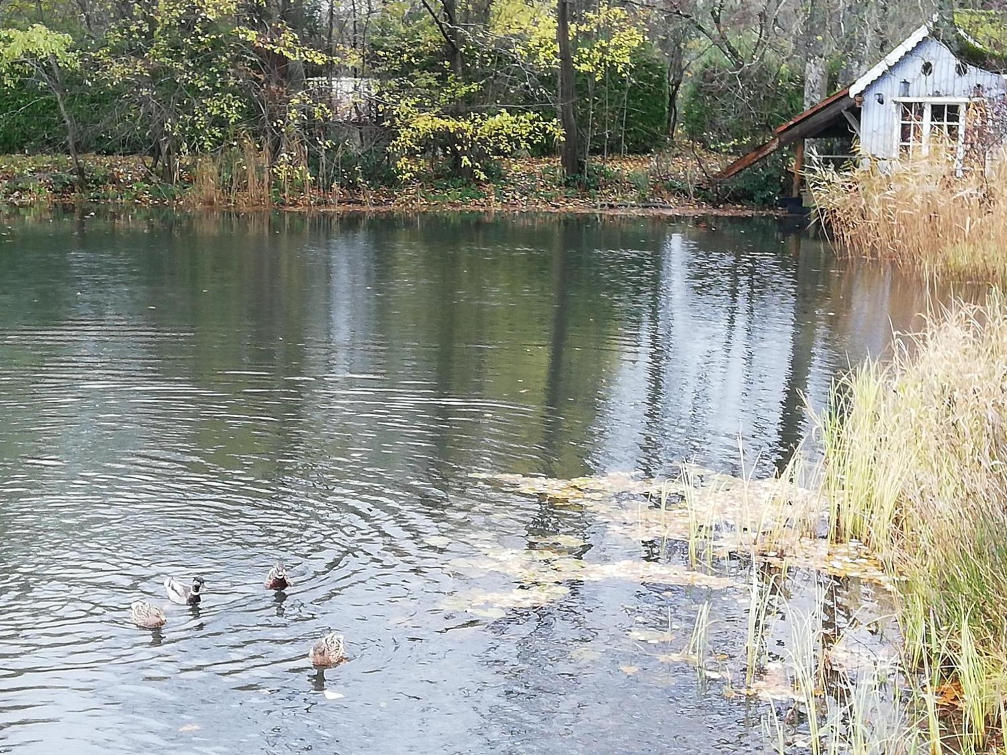 La Cabane Sur L'Eau Cul-des-Sarts Dış mekan fotoğraf